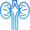 Squint Surgery Icon